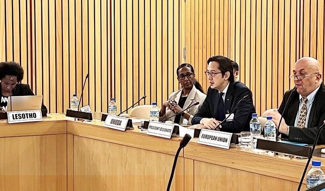 Vietnam chairs African Regional Consultation for 2026 NPT Review Conference